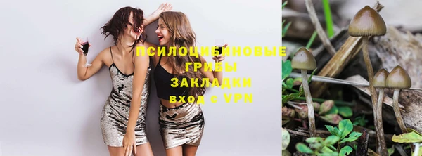 меф Коряжма