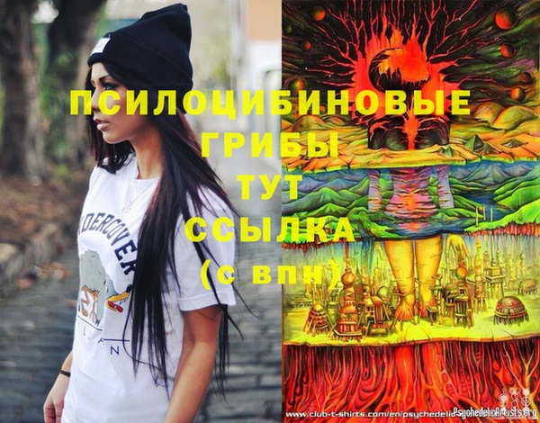 меф Коряжма