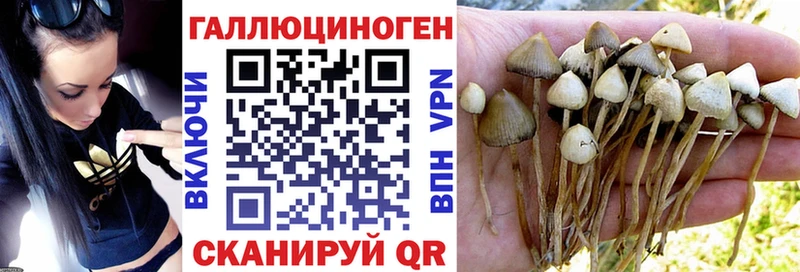 как найти   Электросталь  Псилоцибиновые грибы ЛСД 