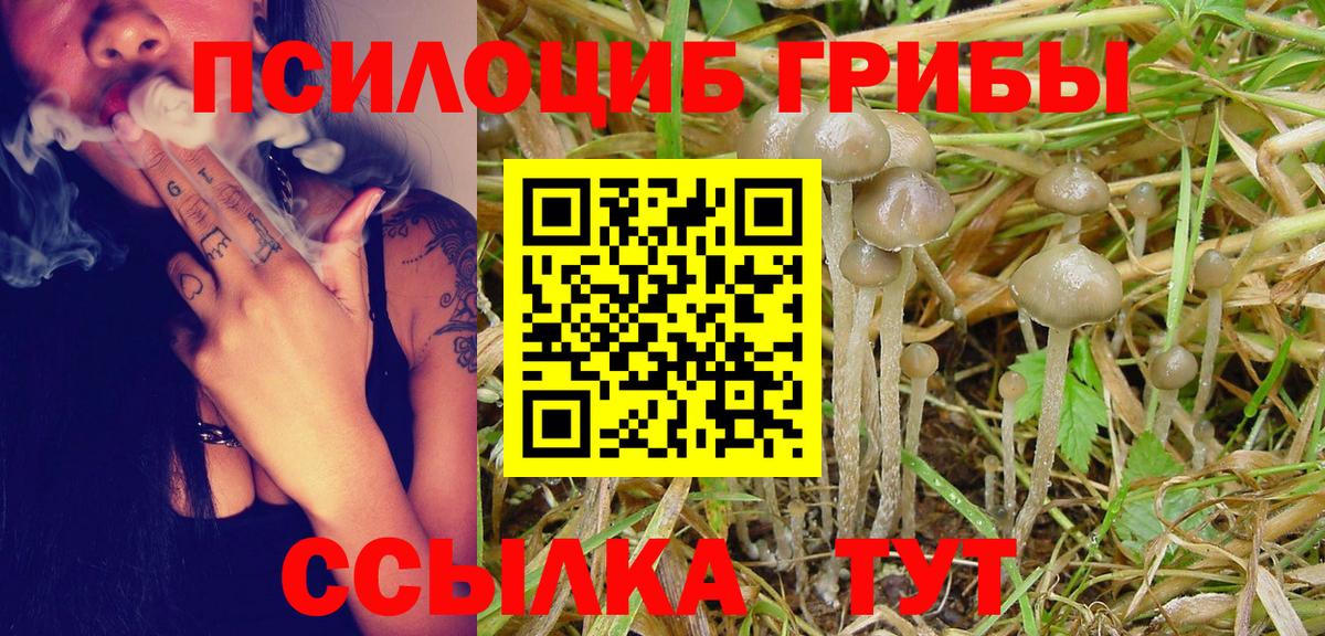 Галлюциногенные грибы Psilocybe Электросталь